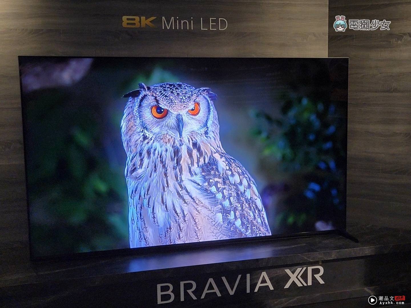 出门｜Sony BRAAIA XR 电视全系列皆为 PS5 推荐机种，体验 OLED、Mini LED 的旗舰级显色 数码科技 图13张